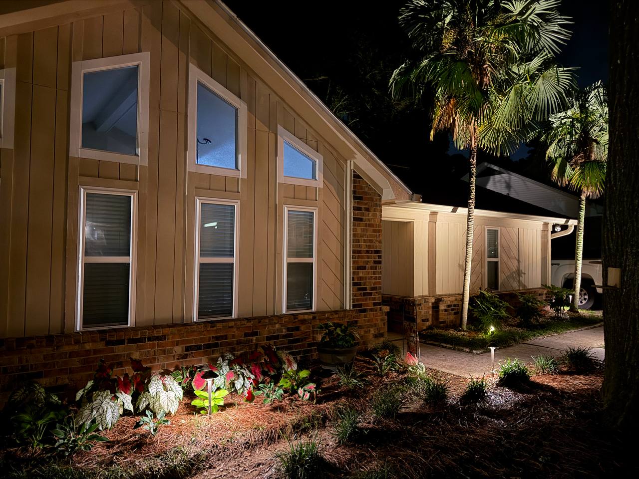 Night detail of a side walk with caladiums, palms, path lights, and vertical siding along a residential facade